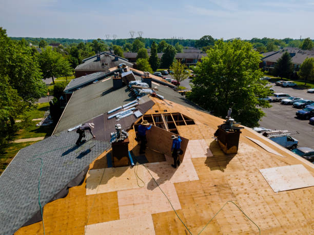 Best Gutter Installation and Roofing  in Searingtown, NY